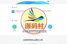 变色龙app封装系统源码