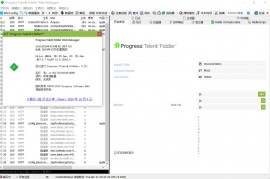 专业网络抓包工具 Telerik Fiddler 5.0.20194.41348 简体中文绿色版
