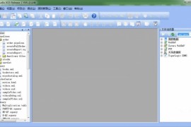 XML编辑器Stylus Studio XML企业版 中文特别版(附去限制文件)