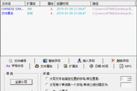ReName批量改文件属性汉化版