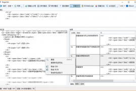 正则表达式测试器Regester v2.0.0 绿色版 需要.net 4.5环境