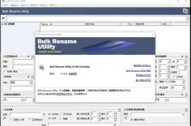 Bulk Rename Utility 文件重命名工具 v3.1汉化 绿色版