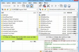 FlashFXP v5.4.0.3954 绿色版+注册机