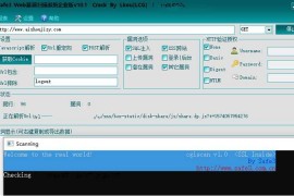 网站漏洞一键检测神器 站长工具